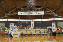 H29郡上良良ちゃん活動写真_日本3大盆踊り