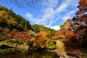 園内の風景（篠脇山荘をのぞむ）秋.JPG