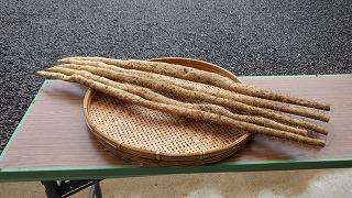 RIMG3518.JPG