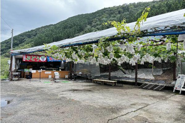 photo_inaba budouen.JPG