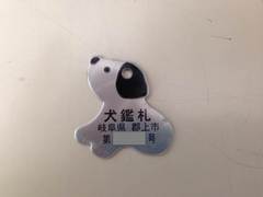 犬鑑札