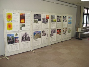 原爆と人間パネル展１.jpg
