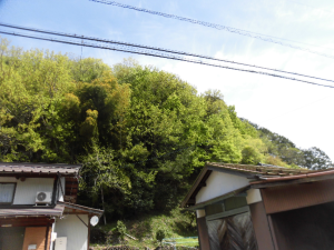 実施前.png