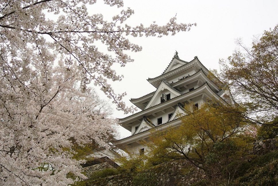 八幡 城 郡上